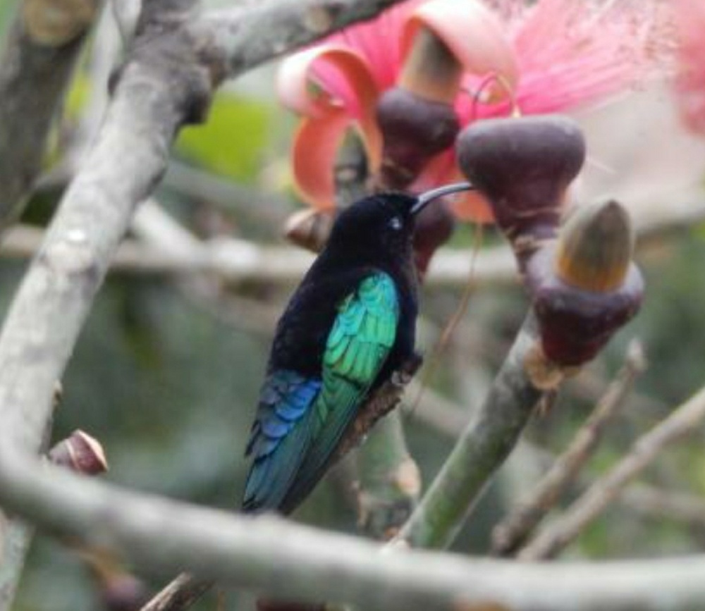 Meet your Posher, Majka